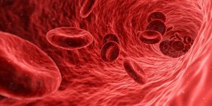 Healthy Red Blood Cells (Image by Arek Socha from Pixabay)